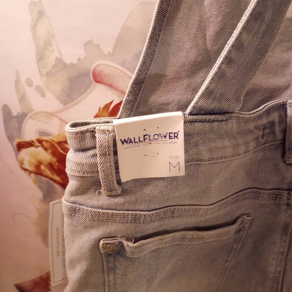 Overall shorts - Picture 3 of 4